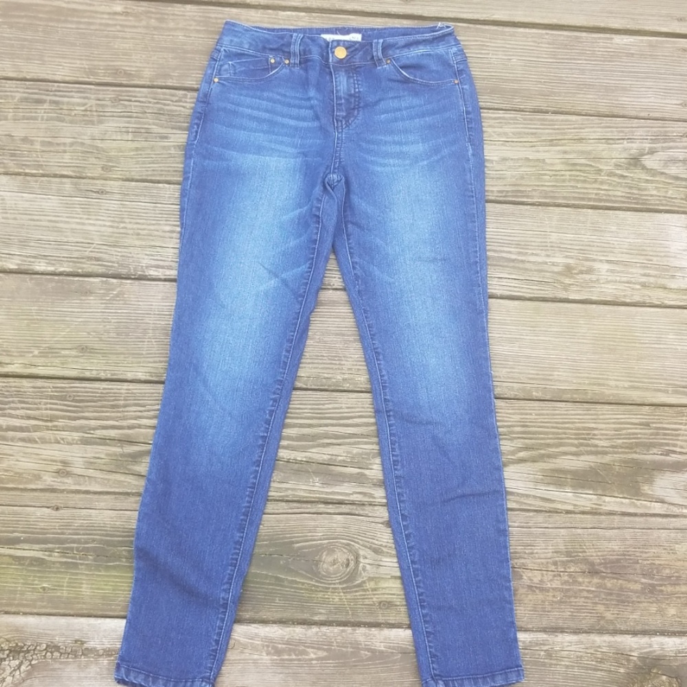 Artisan NY Skinny Blue Denim